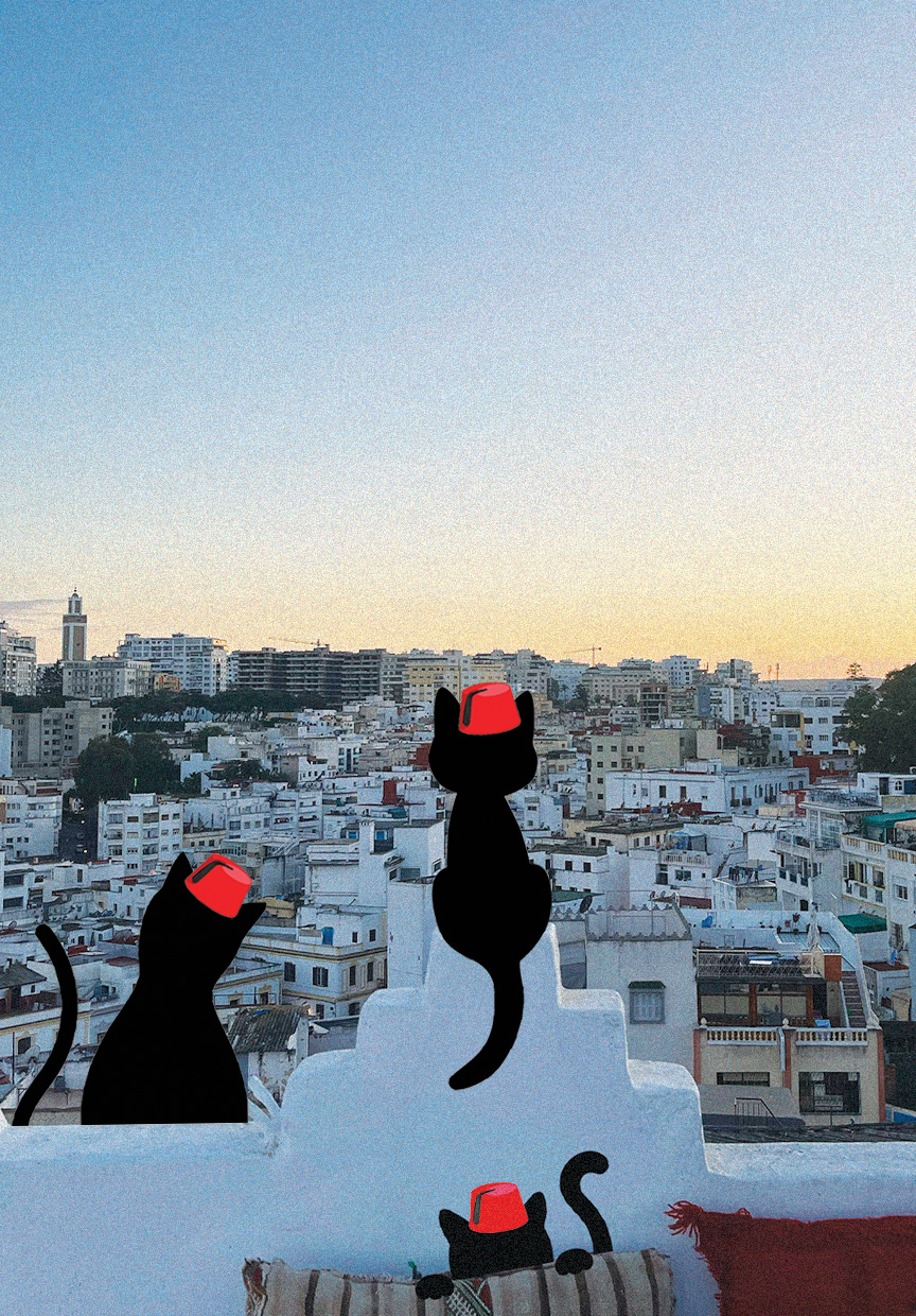 Vue panoramique de Tanger, ville de Minou le chat de Tanger