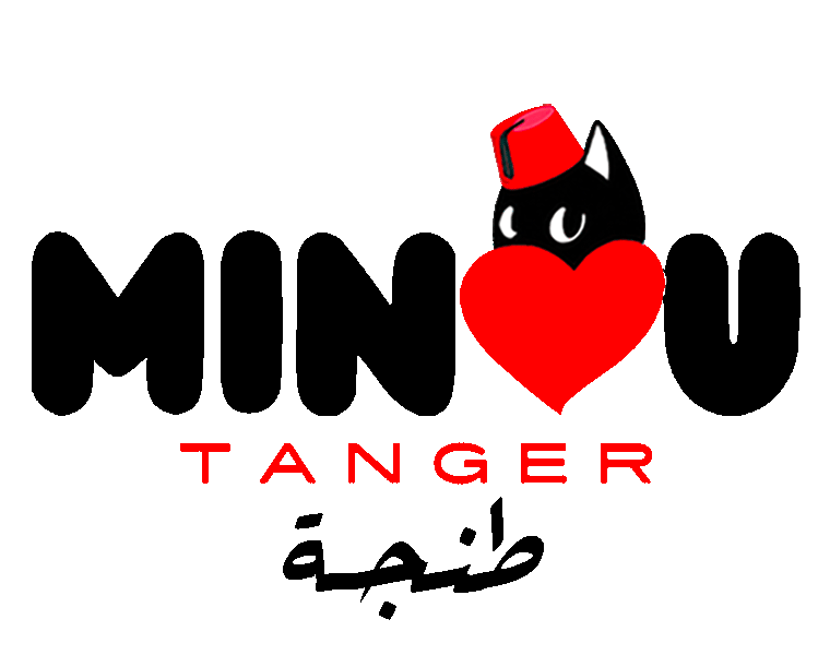 Minou, le chat de Tanger, mascotte féline de la ville