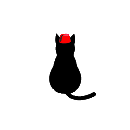 Minou, le chat de Tanger, queue dressée